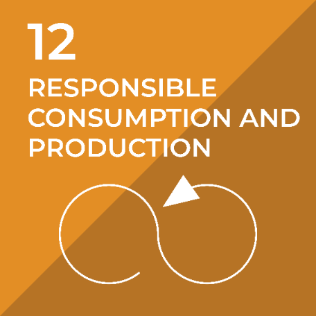 Responsible Consumption and Production